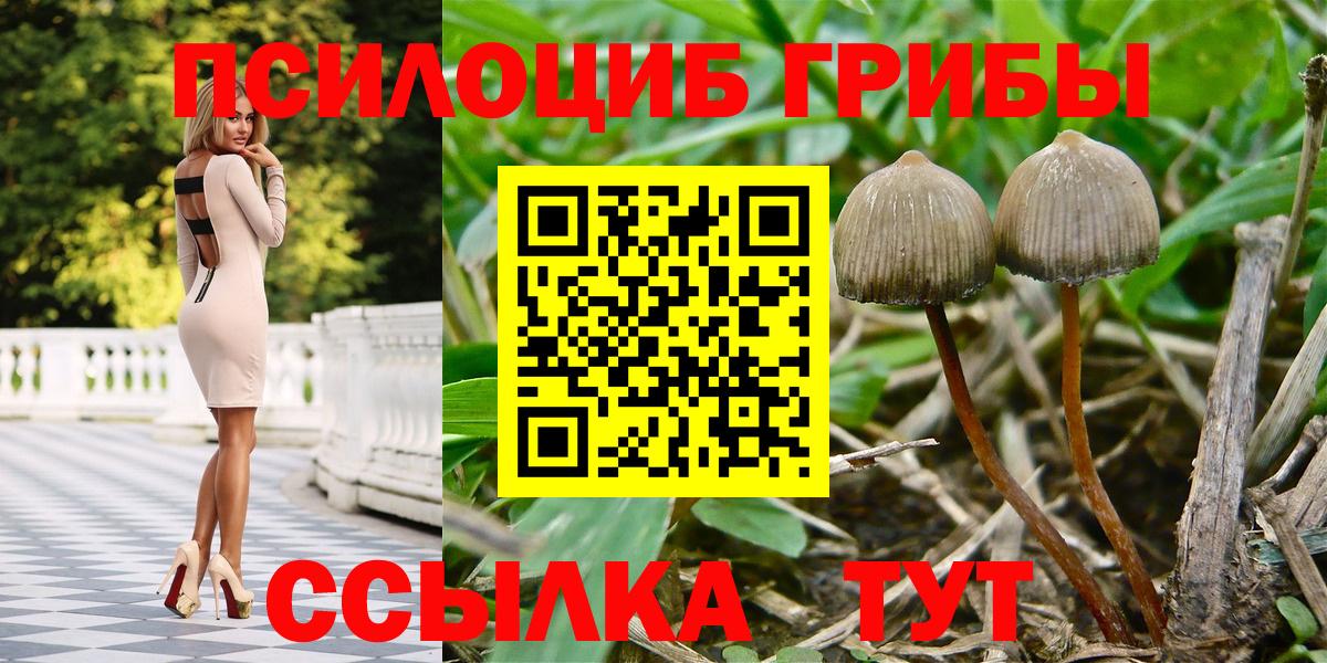 Галлюциногенные грибы прущие грибы  Галлюциногенные грибы Psilocybine cubensis  Вход с VPN  Ленинск-Кузнецкий 