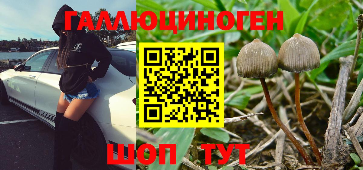 Псилоцибиновые грибы мухоморы Ленинск-Кузнецкий