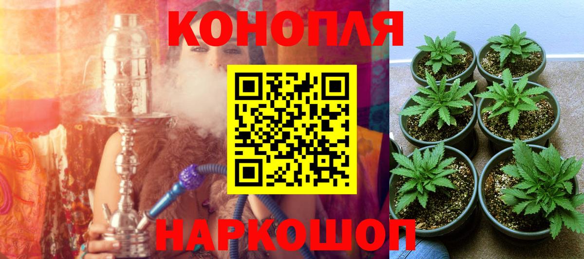 Бошки марихуана AK-47  Вход с VPN  Бошки марихуана гибрид  Ленинск-Кузнецкий 